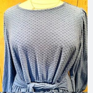 3/$25 🤗 Ava and James dusty blue lines Swiss dot boutique blouse